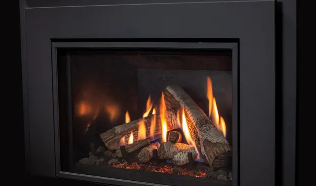 Vue détaillée des bûches de bouleau et du nouveau brûleur de l'insert au gaz Enviro Ri30, simulant un feu authentique.